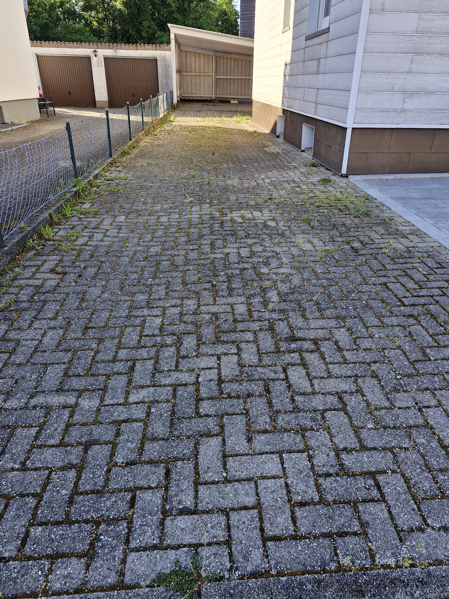 Before image